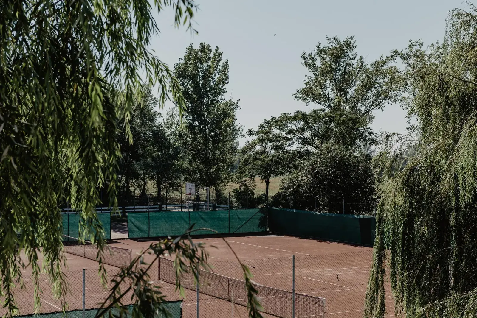Tennisplätze am Georgshof